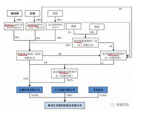 300萬控股百億上市公司,暗度陳倉規避借殼紅線