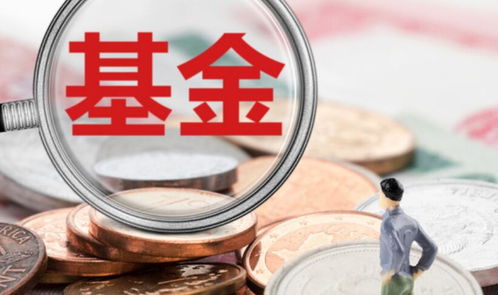 金融資金平臺有哪些 以下公司表現(xiàn)較為突出